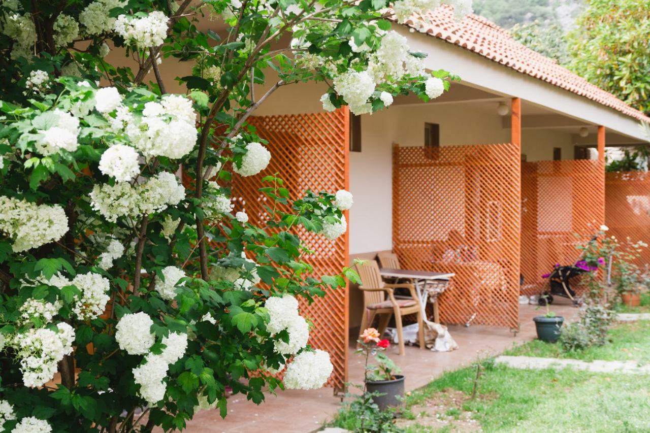 Village Garden * אנטליה